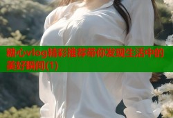 糖心vlog精彩推荐带你发现生活中的美好瞬间(1)