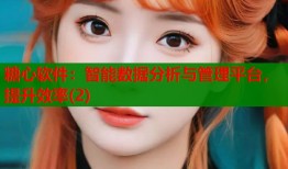 糖心软件：智能数据分析与管理平台，提升效率(2)