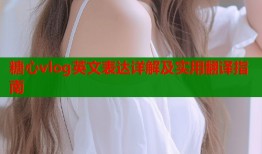 糖心vlog英文表达详解及实用翻译指南