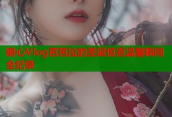 糖心Vlog芭芭拉的圣诞惊喜温馨瞬间全纪录