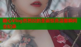 糖心Vlog芭芭拉的圣诞惊喜温馨瞬间全纪录
