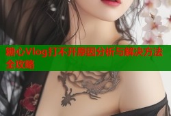 糖心Vlog打不开原因分析与解决方法全攻略