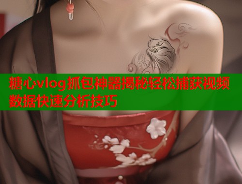糖心vlog抓包神器揭秘轻松捕获视频数据快速分析技巧