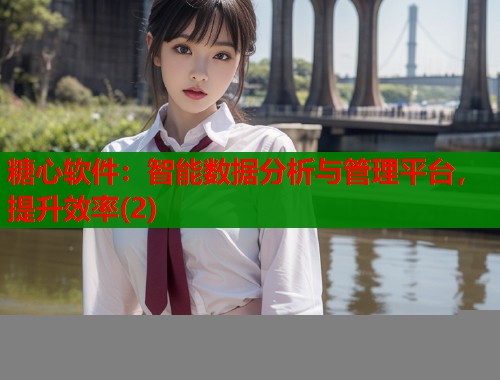 糖心软件：智能数据分析与管理平台，提升效率(2)