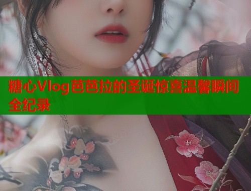 糖心Vlog芭芭拉的圣诞惊喜温馨瞬间全纪录